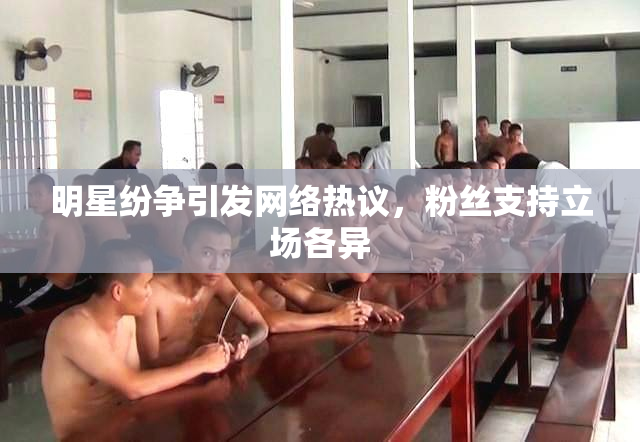 明星纷争引发网络热议，粉丝支持立场各异