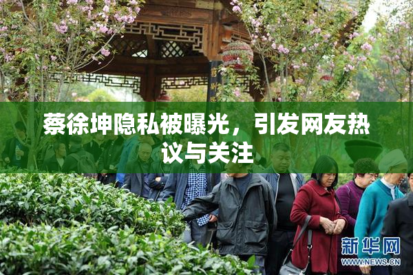 蔡徐坤隐私被曝光，引发网友热议与关注