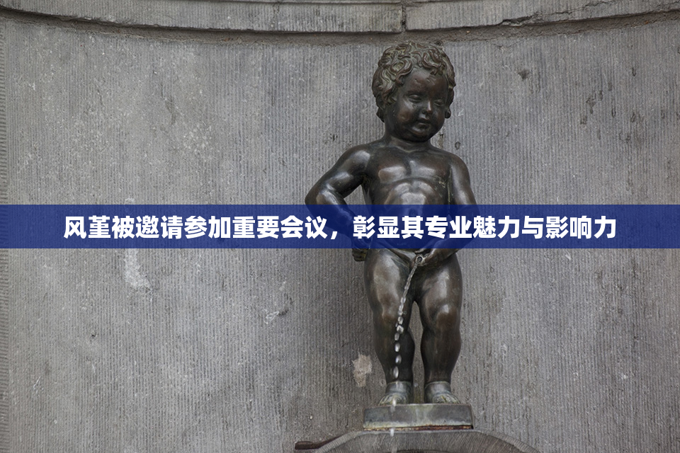 风堇被邀请参加重要会议，彰显其专业魅力与影响力