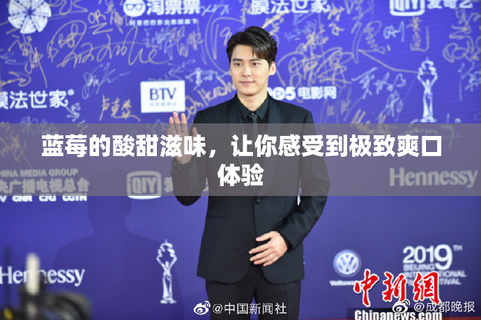 蓝莓的酸甜滋味，让你感受到极致爽口体验