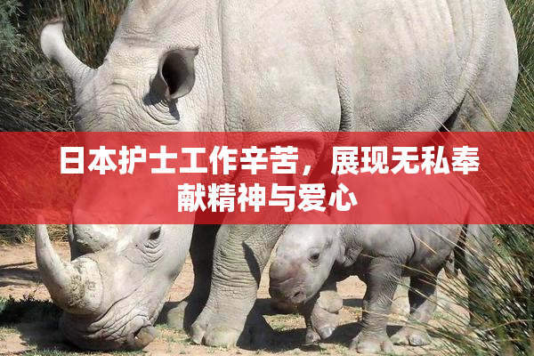 日本护士工作辛苦，展现无私奉献精神与爱心