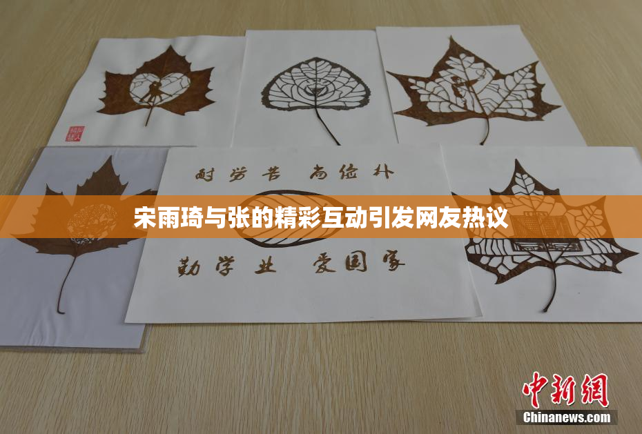 宋雨琦与张的精彩互动引发网友热议