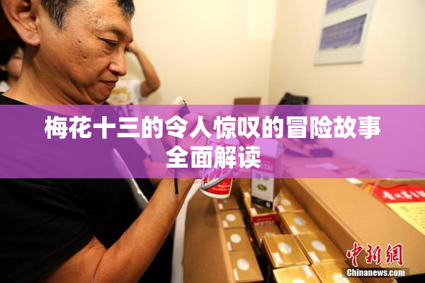 梅花十三的令人惊叹的冒险故事全面解读