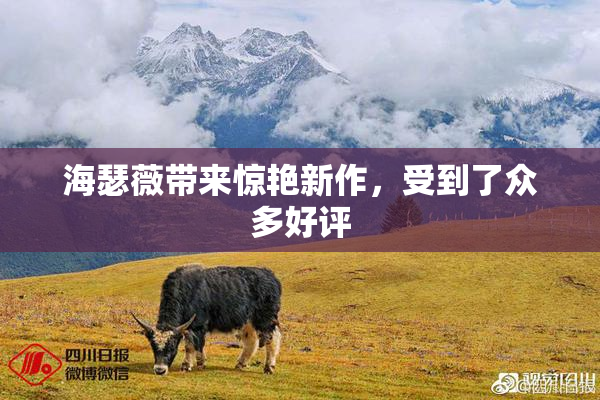 海瑟薇带来惊艳新作，受到了众多好评