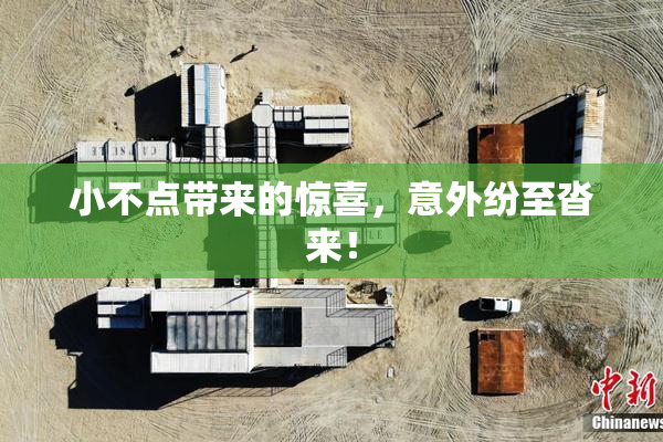 小不点带来的惊喜，意外纷至沓来！