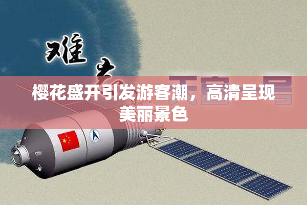 樱花盛开引发游客潮，高清呈现美丽景色