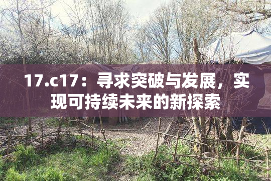 17.c17：寻求突破与发展，实现可持续未来的新探索