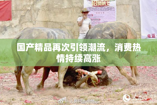 国产精品再次引领潮流，消费热情持续高涨