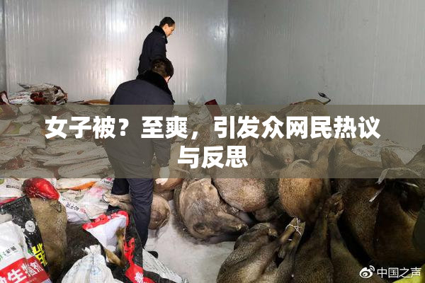 女子被？至爽，引发众网民热议与反思