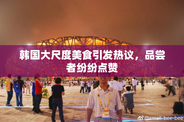 韩国大尺度美食引发热议，品尝者纷纷点赞