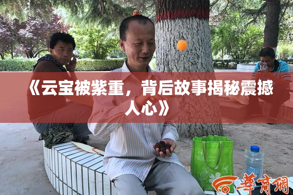 《云宝被紫重，背后故事揭秘震撼人心》