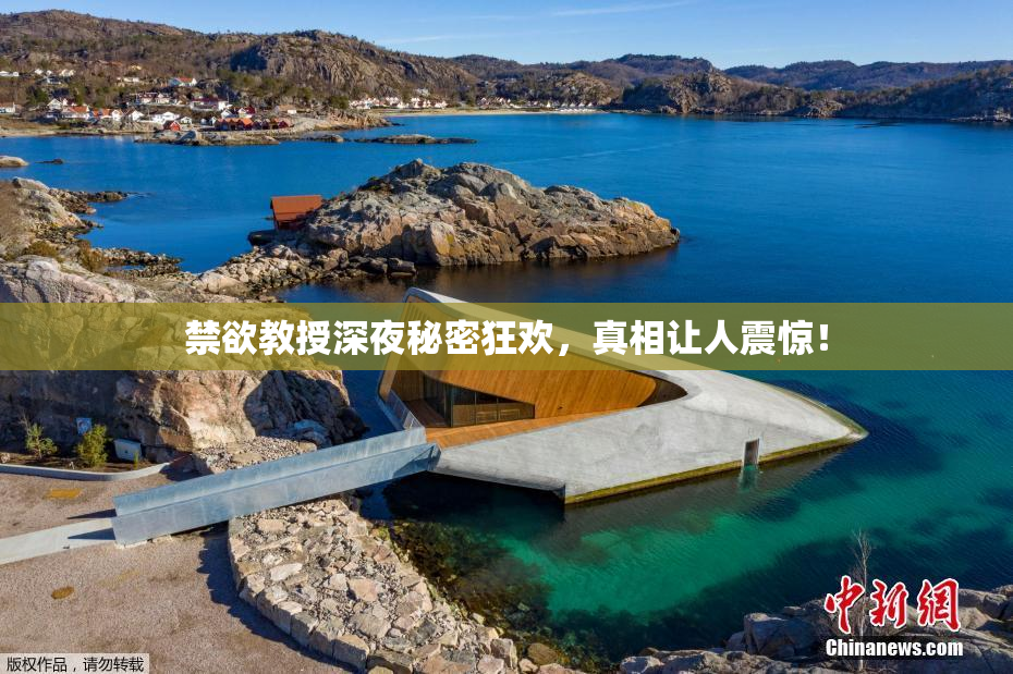 禁欲教授深夜秘密狂欢，真相让人震惊！