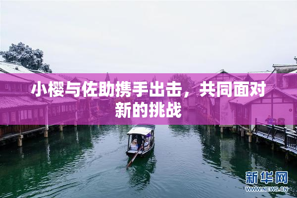 小樱与佐助携手出击，共同面对新的挑战
