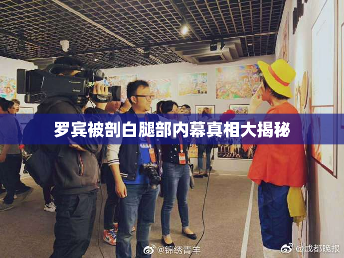 罗宾被剖白腿部内幕真相大揭秘