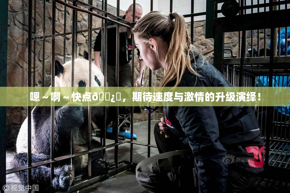 嗯～啊～快点🌿‌，期待速度与激情的升级演绎！