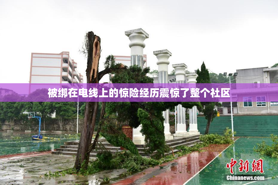被绑在电线上的惊险经历震惊了整个社区