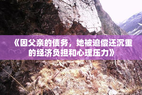 《因父亲的债务，她被迫偿还沉重的经济负担和心理压力》