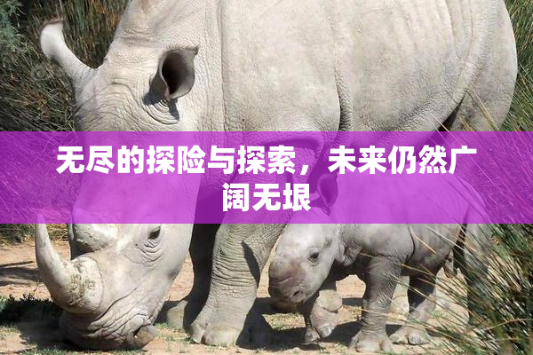 无尽的探险与探索，未来仍然广阔无垠