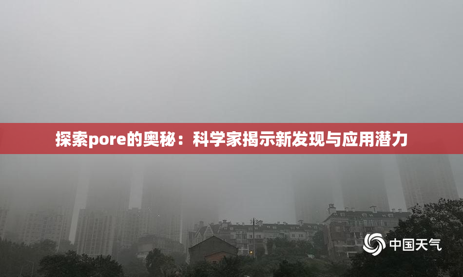 探索pore的奥秘：科学家揭示新发现与应用潜力