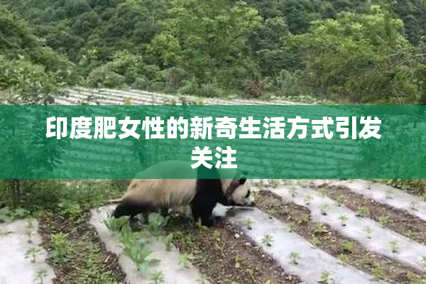 印度肥女性的新奇生活方式引发关注