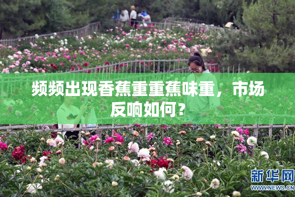 频频出现香蕉重重蕉味重，市场反响如何？