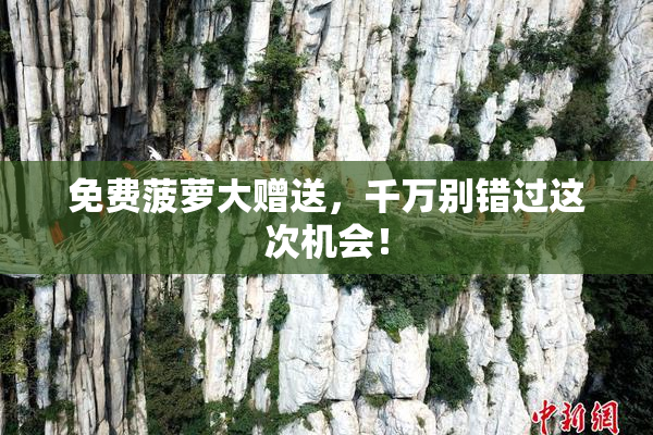 免费菠萝大赠送，千万别错过这次机会！