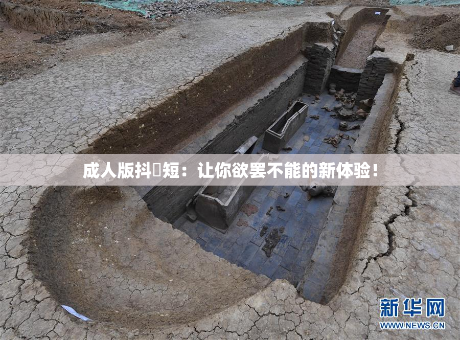 成人版抖抈短：让你欲罢不能的新体验！