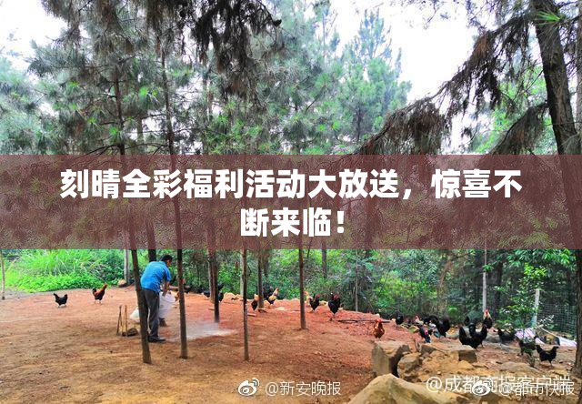 刻晴全彩福利活动大放送，惊喜不断来临！