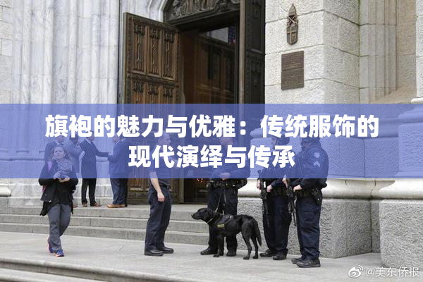 旗袍的魅力与优雅：传统服饰的现代演绎与传承