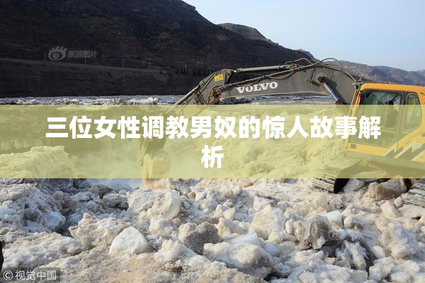 三位女性调教男奴的惊人故事解析