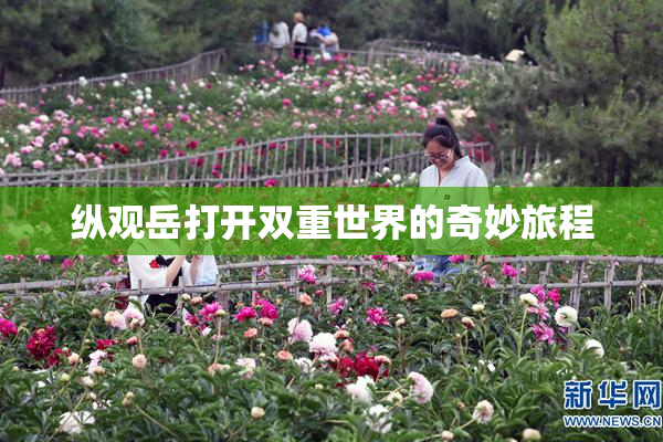 纵观岳打开双重世界的奇妙旅程