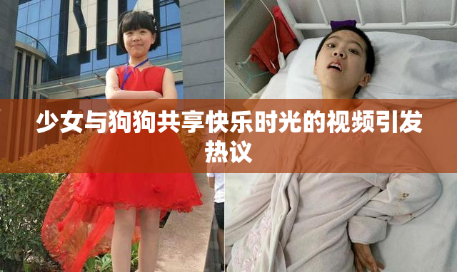 少女与狗狗共享快乐时光的视频引发热议