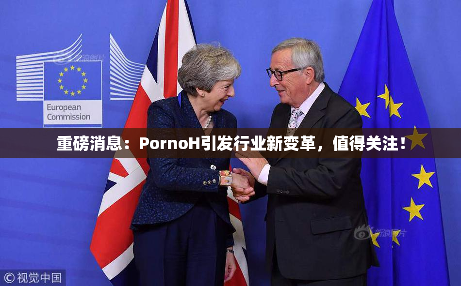 重磅消息：PornoH引发行业新变革，值得关注！