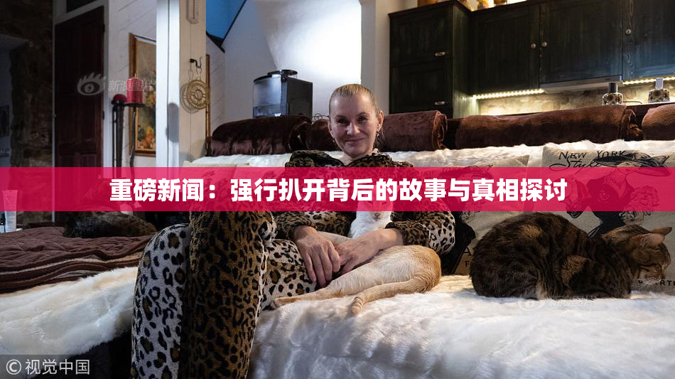 重磅新闻：强行扒开背后的故事与真相探讨