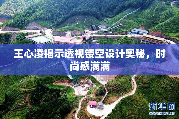王心凌揭示透视镂空设计奥秘，时尚感满满