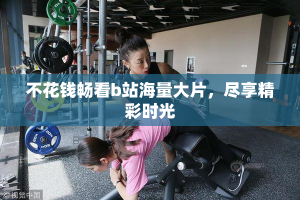 不花钱畅看b站海量大片，尽享精彩时光