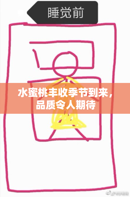 水蜜桃丰收季节到来，品质令人期待