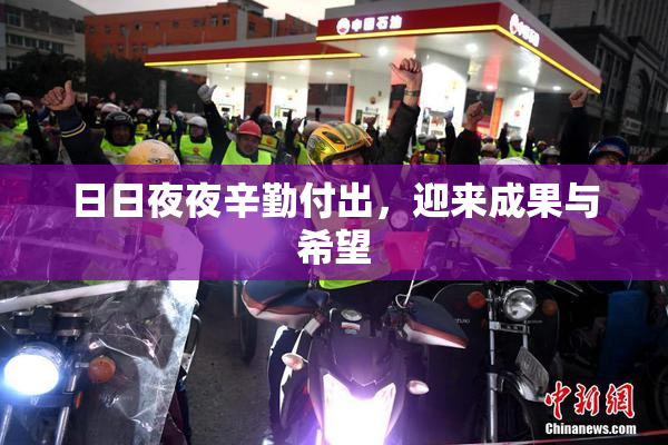 日日夜夜辛勤付出，迎来成果与希望