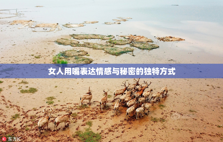 女人用嘴表达情感与秘密的独特方式