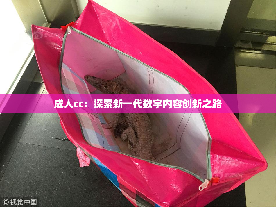 成人cc：探索新一代数字内容创新之路
