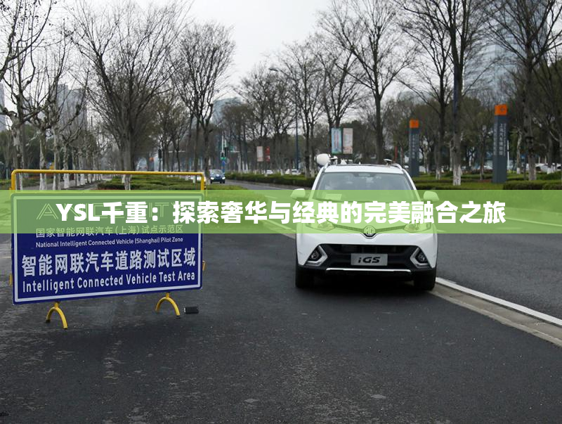 YSL千重：探索奢华与经典的完美融合之旅