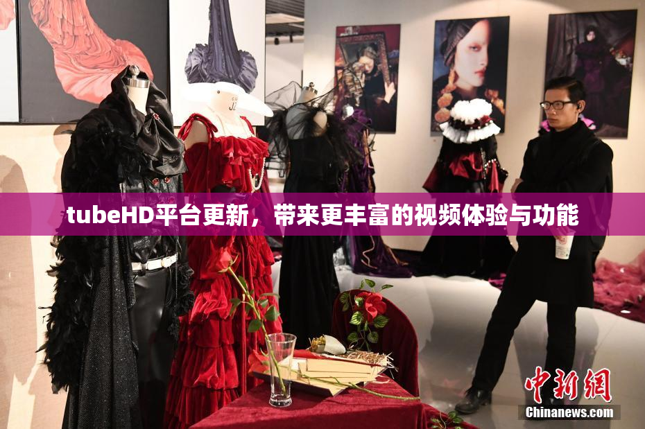 tubeHD平台更新，带来更丰富的视频体验与功能