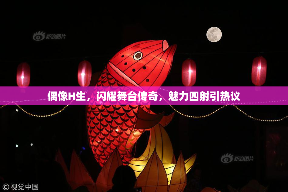 偶像H生，闪耀舞台传奇，魅力四射引热议