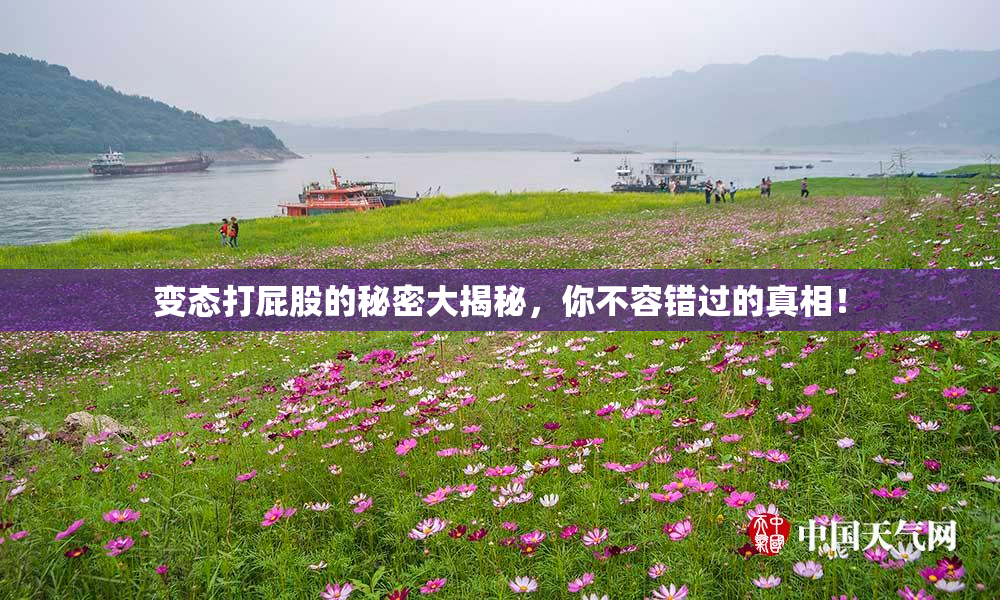变态打屁股的秘密大揭秘，你不容错过的真相！