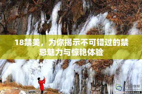 18禁美，为你揭示不可错过的禁忌魅力与惊艳体验
