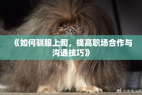 《如何驯服上司，提高职场合作与沟通技巧》