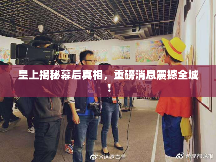 皇上揭秘幕后真相，重磅消息震撼全城！