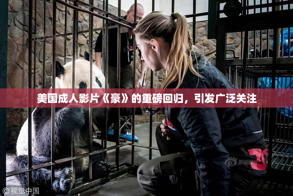 美国成人影片《豪》的重磅回归，引发广泛关注