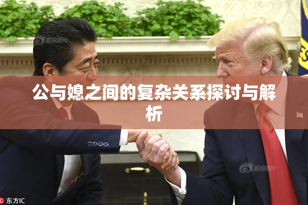 公与媳之间的复杂关系探讨与解析