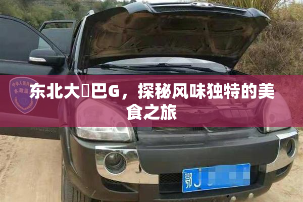 东北大鷄巴G，探秘风味独特的美食之旅